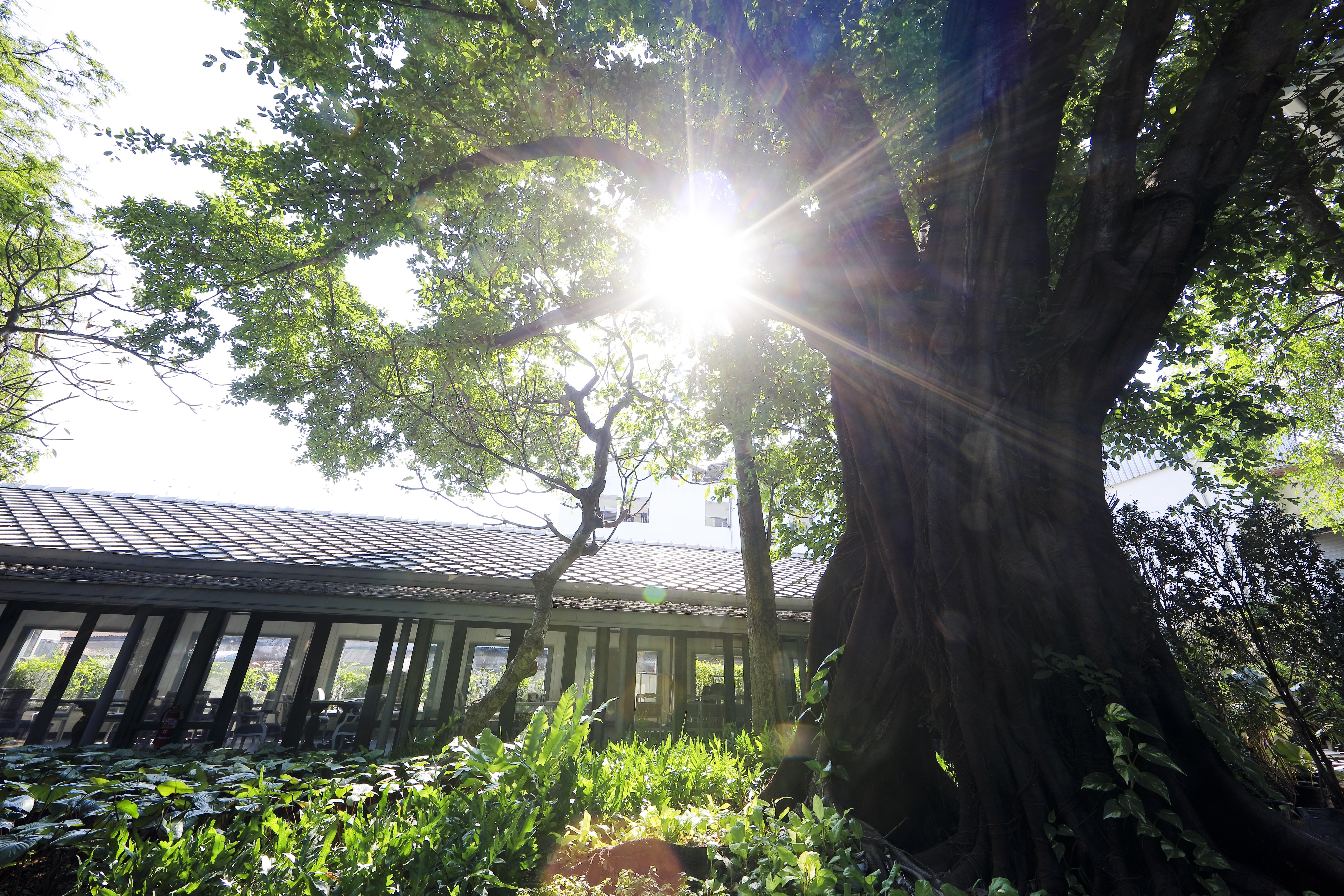 The Raweekanlaya Банкок Екстериор снимка The greenhouse at the University of Washington Botanic Garden